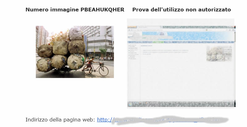 picrights email danni
