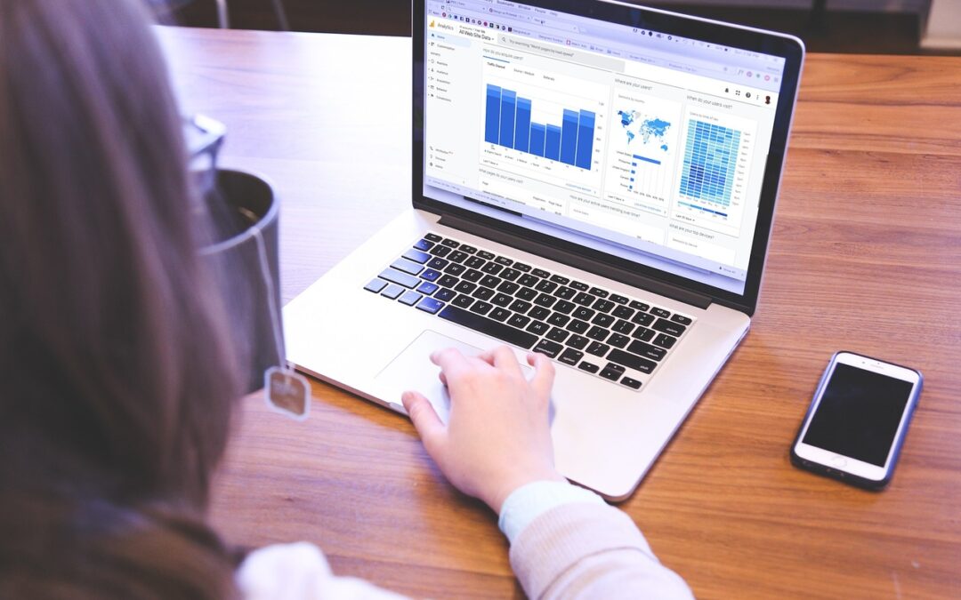 Statistiche accesso Internet Italia 2024